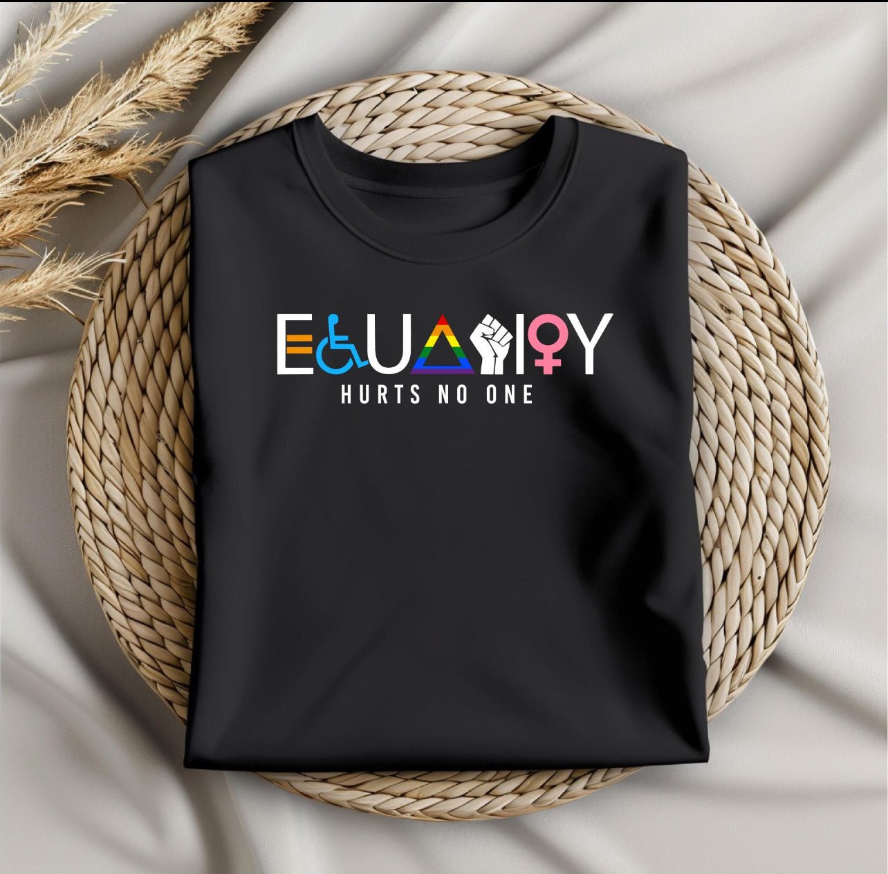 Equality Hurts No One T-shirt